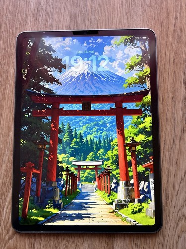 Ipad pro 512 go - pro,