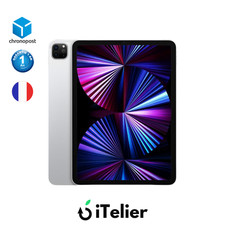 iPad Pro 11" 2021 M1  - 1To -